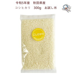 【送料無料】【令和5年産】秋田県産　コシヒカリ 300g (2合)お試し米《普通栽培》〈三郎米〉【生産者直送】クロネコゆうパケットでお届け