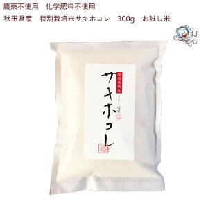 �_�ߘa7�N�Y�^�s���_��t�H�c���Y ���ʍ͔|�ā@�T�L�z�R�� 300g(2��)�y�ߘa7�N�Y�z�y���Y�Ғ����z�q�������ār�l�R�|�X�ł��͂�