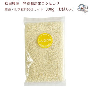 yzyߘa6NYzHcY@ʍ͔|ăRVqJ 300g (2)ās_tqYāryYҒzlR|Xł͂