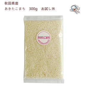 @ߘa7NYHcY@܂ 300g (2)ĕʍ͔|qOYārYҒlR|Xł͂