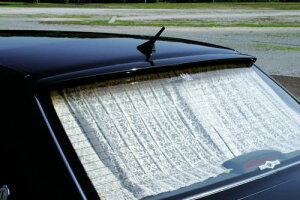 WNVvf[X JUNCTION PRODUCE CENTURY GZG50 Z`[  J[p[c yV ʔ yCENTURY GZG50[tECO/J[{zJ[pi JX^p[c GA junction produce 10P12Oct14