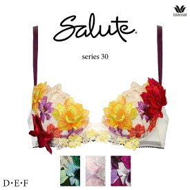 ワコール サルート 30G ブラジャー BTJ430 3/4カップワイヤー (P-upタイプ) D・E・Fカップ