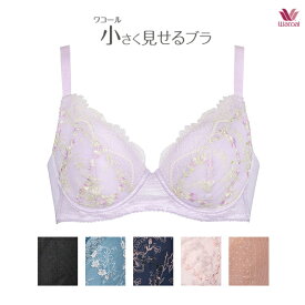 ケント 宴会 バックグラウンド ワコール 小さく 見せる ブラ アウトレット Sozokobetsu Jp