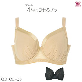 30%OFF ワコール 小さく見せるブラ ブラジャー BRG422 3/4カップワイヤー Qサイズ DEFカップ (シンプルタイプ)