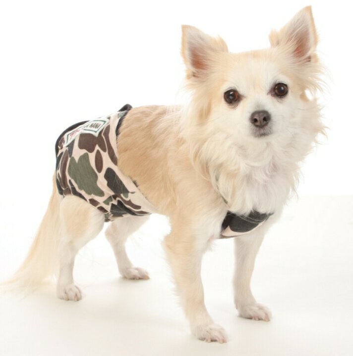 楽天市場 300円offクーポン配布中 犬 マナーウェア Cannana きゃんナナ カモフラマナースーツ S Llサイズ 失禁 室内犬 マーキング マナーベルト 犬のマナーパンツ 男の子 失禁 ブランド 介護 ぱんつ かいご ズレナイ ずれない 脱げない メール便対応 犬服