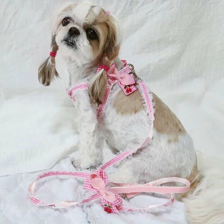 楽天市場 クーポン配布中 ルルドール ふわっとチェリーギンガムハーネス Sサイズ 胴輪 犬 おしゃれな オシャレ メール便対応 犬 服通販 じゃんぐるぺっと
