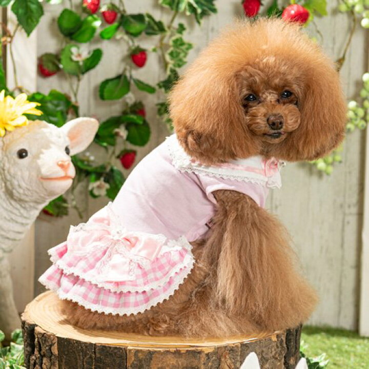 楽天市場 クーポン配布中 犬服 ワンピース ルルドール Luludoll ゆめかわ清楚ガール Lサイズ 春夏 犬服 犬 服 女の子 ワンピース 中型犬 ピンク ブラック ブルー 犬服通販 じゃんぐるぺっと