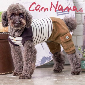 ~Z[ t`{[_[I[C@@Ȃ@Lii@ii@uh@j̎q