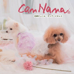 悠  ̎q   ĕyiizԕ`[EeBA[hL~ SS-LTCY ̕ hbOEFA ` v[h V[Y ĕ SALE CANNANA Ȃ 킢