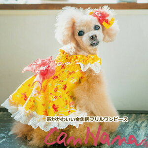  ăhbOEFA s[X a ĕyiizт킢ts[XSS-LTCY ybgEFA v[h ` CANNANA LiiCG[ zCg 