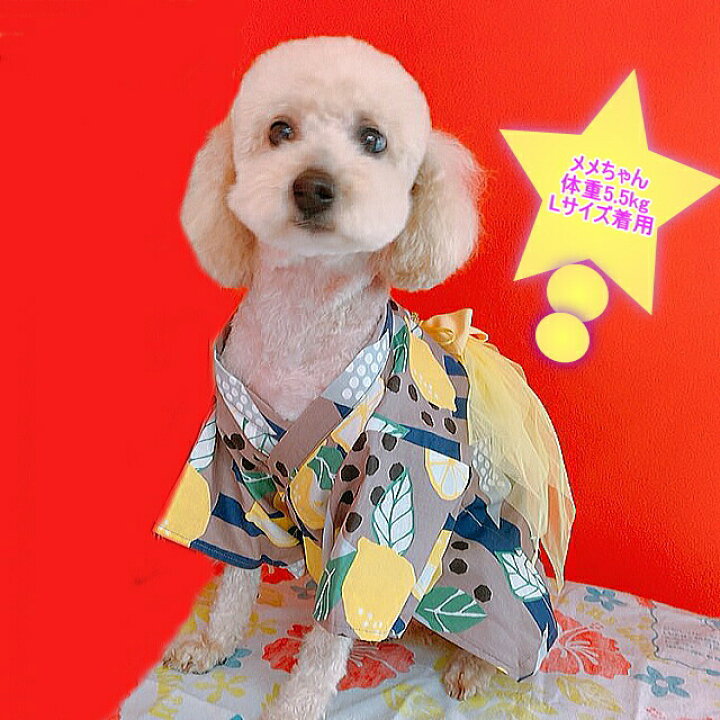 楽天市場 クーポン配布中 猫 犬 浴衣 ゆかた ユカタ 動画あり 送料無料 きゃんナナ 帯がおしゃれなレモン柄ゆかた Ss Llサイズ 犬のゆかた 猫の浴衣 猫のゆかた Remon イヌ ネコ 夏祭 犬の浴衣 和装 祭り 和柄 犬服通販 じゃんぐるぺっと 楽天市場 クーポン配布中 猫 犬 浴衣 ゆかた ユカタ 動画あり 送料無料 きゃんナナ 帯がおしゃれなレモン柄ゆかた Ss Llサイズ 犬のゆかた 猫の浴衣 猫のゆかた Remon イヌ ネコ 夏祭 犬の浴衣 和装 祭り 和柄 犬服通販 じゃんぐるぺっと