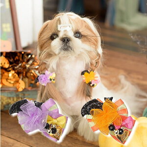  { L CanNana ii@nEB{@HWR-058 [֑Ήi nEB[