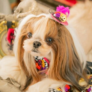  { L CanNana ii@nEBXq{@HWR-060 [֑Ήi nEB[