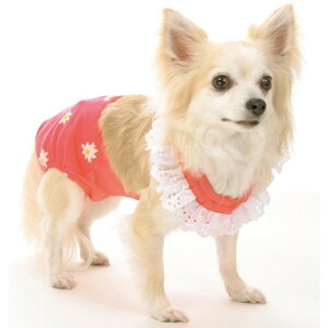  pc ̃pcyiizR*ԕTj^[X[c S,MTCY ppc X Tj^[pc@ CanNana [֑Ή@̎qpc