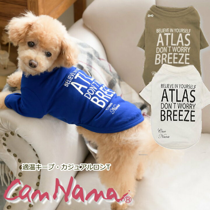 楽天市場 1日限り11 Offクーポン配布 服 春夏 小型犬 オールシーズン 動画あり キャンナナ 適温キープ カジュアルロンtシャツ カーキ ホワイト Ss Llサイズ アウトラストoutlast Fabric シャツ 伸縮性抜群 犬服通販 じゃんぐるぺっと 楽天市場 1日限り11 Offクーポン配布 服 春夏 小型犬 オールシーズン 動画あり キャンナナ 適温キープ カジュアルロンtシャツ カーキ ホワイト Ss Llサイズ アウトラストoutlast Fabric シャツ 伸縮性抜群 犬服通販 じゃんぐるぺっと