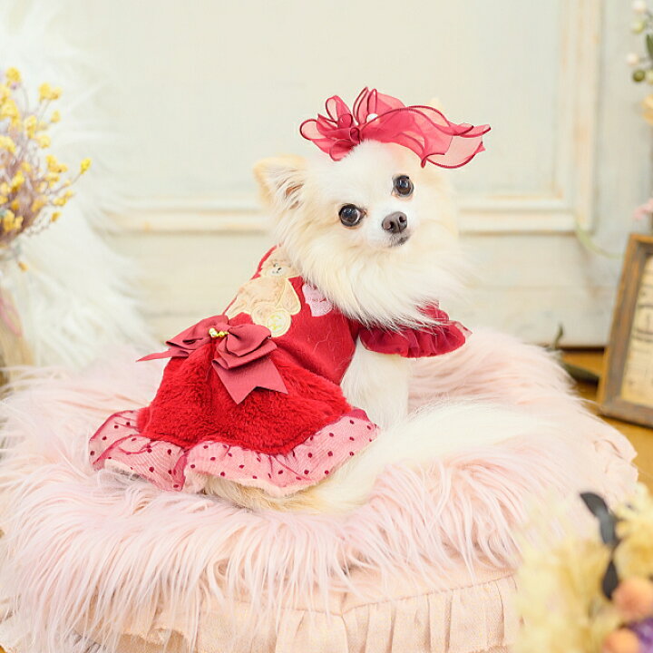 楽天市場】犬服 パーティードレス きゃんくまパフスリーブワンピース 