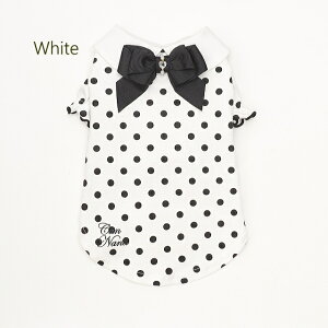 ii  t  ݃hbgJbg\[ SS-LTCY ^ sN zCg ` }`[Y V[Y v[h