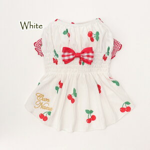 ii  t  ڃV[Os[X SS-LTCY ^ sN zCg ` }`[Y V[Y v[h