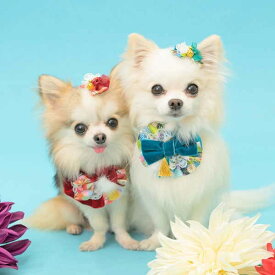 お正月 リボン 犬 猫 シュシュ 2025 モダン新春シュシュアクセ きゃんナナ キャンナナ CANNANA パーティ　 数量限定 ピンク レッド グリーン