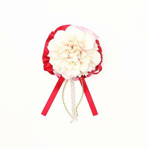 V  { L yiizau[`@AC-041@bh sN pb` ANZT[ ڂ Vt 