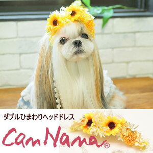 ii  ANZ CanNana Vyiiz_uЂ܂wbhhX CG[ wA{  ANZ