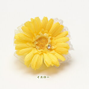 {  ANZ CanNana ii K[xob^{ CG[ wA{  ANZ sN