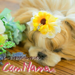 ii  {  ANZT[ CanNana yiiz[XЂ܂ob^{ L ribbon CG[