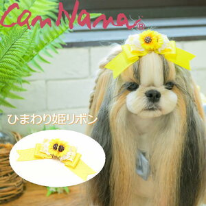 ii  {  ANZT[ CanNana yiizЂ܂P{ L ribbon wA[ANZ