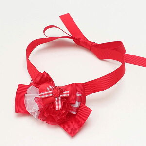 ^ n[g ^ ii n[gEOlbN`[J[iԃ^Cvj Lii CANNANA sN p[v ʌ v[g