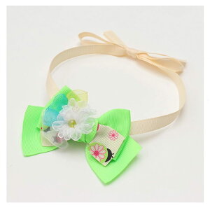  L t egEV  ^ ii ĂƂElbN`[J[iԃ^Cvj` v[h Lii CANNANA ʌ Mtg v[g