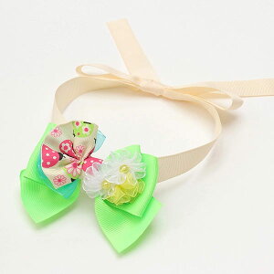 ^ t egEV ^ ii ĂƂElbN`[J[iԃ^CvjLii CANNANA O[ sN ʌ Mtg