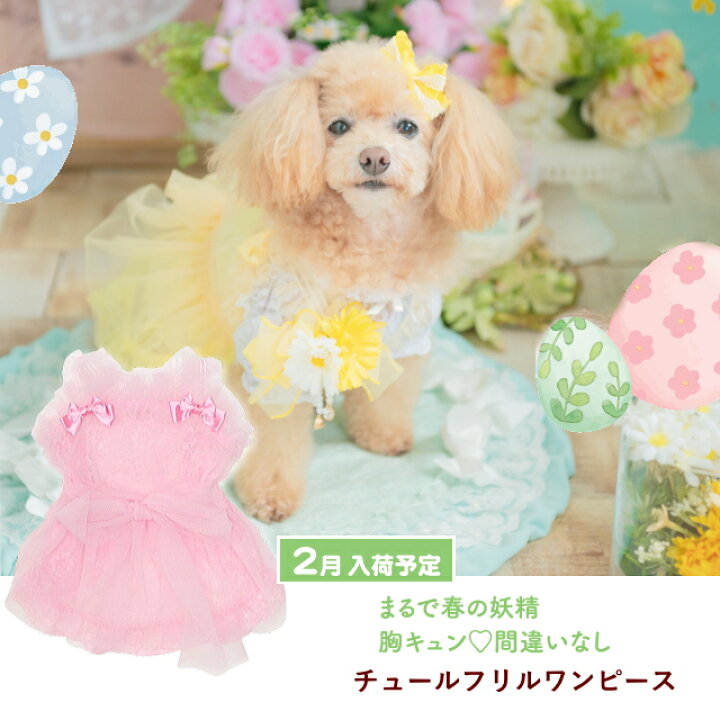 楽天市場】犬服 春 チュールフリルキャミワンピース SS-Lサイズ きゃん 