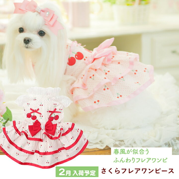 楽天市場】犬服 春 さくらんぼフレアワンピース SS-Lサイズ きゃんナナ 