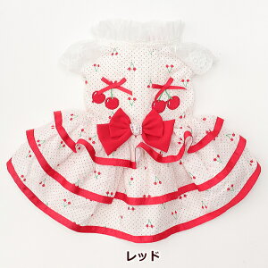  t ڃtAs[X SS-LTCY ii ^ sN bh ` }`[Y V[Y v[h@Lii CANNANA