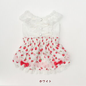  t VtHhbLOs[X SS-LTCY ii ^ sN zCg @` }`[Y V[Y v[h@Lii CANNANA