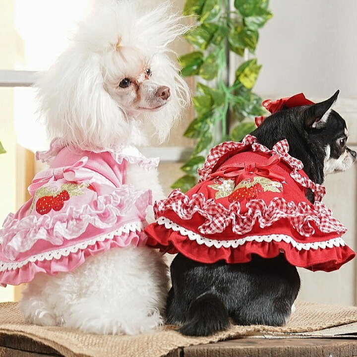 楽天市場】犬服 春 レトロいちごギンガムフリルワンピース SS-Lサイズ 