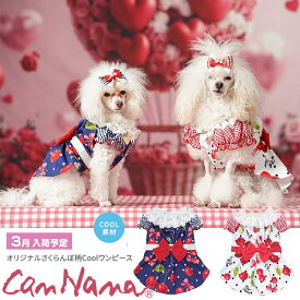 犬服 春 夏 ワンピース キャンナナ オリジナルさくらんぼ柄Coolワンピース SS-Lサイズ 小型犬 クール 新作 ブルー White Cannana 3月入荷予定