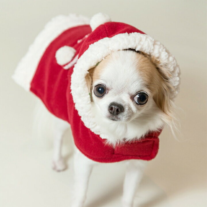 楽天市場 ルルドール サンタサッポロ冬ガール パピーs 3sサイズ 犬服 冬用 さんた 赤ずきん クリスマス 兎 うさぎ ウサギ 犬服 通販 じゃんぐるぺっと