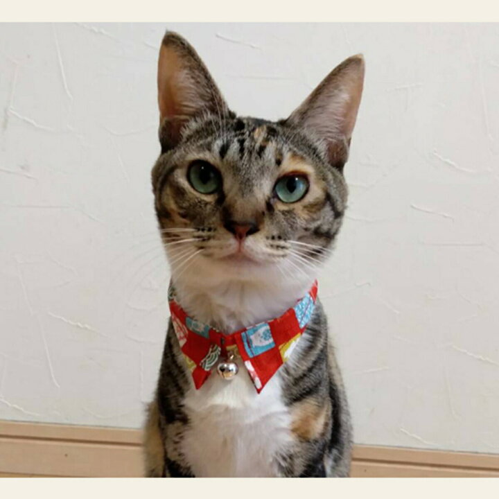 楽天市場】猫 首輪 カラー【きゃんナナ】鈴付き♪京風和柄カラー 首輪  