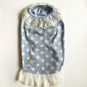    ̎q pW} CanNanaH~yiizAX̃pW} SS-LTCY alice svc̍̃AX nEB[ ubN u[ ʕ hbg