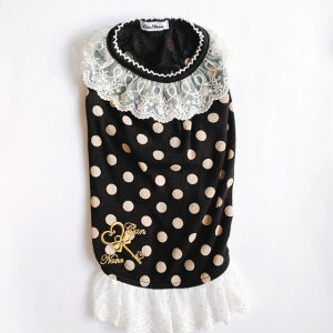    ̎q pW} CanNanaH~yiizAX̃pW} SS-LTCY alice svc̍̃AX nEB[ ubN u[ ʕ hbg