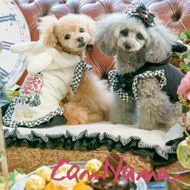 楽天市場 犬の仮装の通販