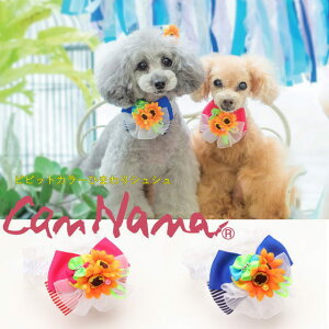 y15%OFFN[|zzzii  L VV yiizrrbgJ[Ђ܂VV SS-LTCY@Lii CANNANA ʌ sN u[ ԁ@{@̃ANZT[ 