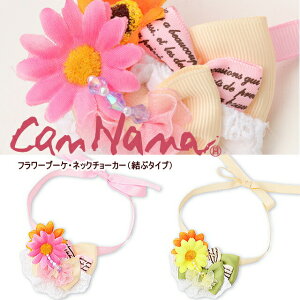 ii ^ Č `[J[ CanNana yiizt[u[PlbNO`[J[iԃ^CvjtăANZ@ANZ