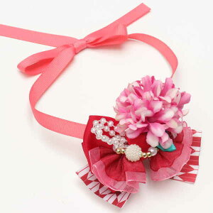 ii  L `[J[  nCJalbN`[J[ Lii CANNANA  nbs[j[C[ ANZT[ }`[Y V[Y v[h |jA ps