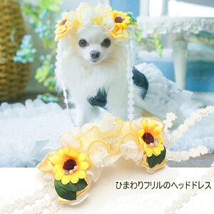 きゃんナナ 犬 アクセ CanNana 【きゃんナナ】ひまわりとフリルのヘッドドレス イエロー ヘアリボン 髪飾り アクセ メール便対応 カチューシャ