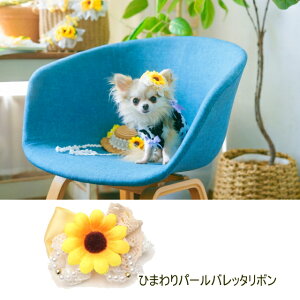 ii  {  ANZT[ CanNana yiizЂ܂p[ob^{ L ribbon wA[ANZ