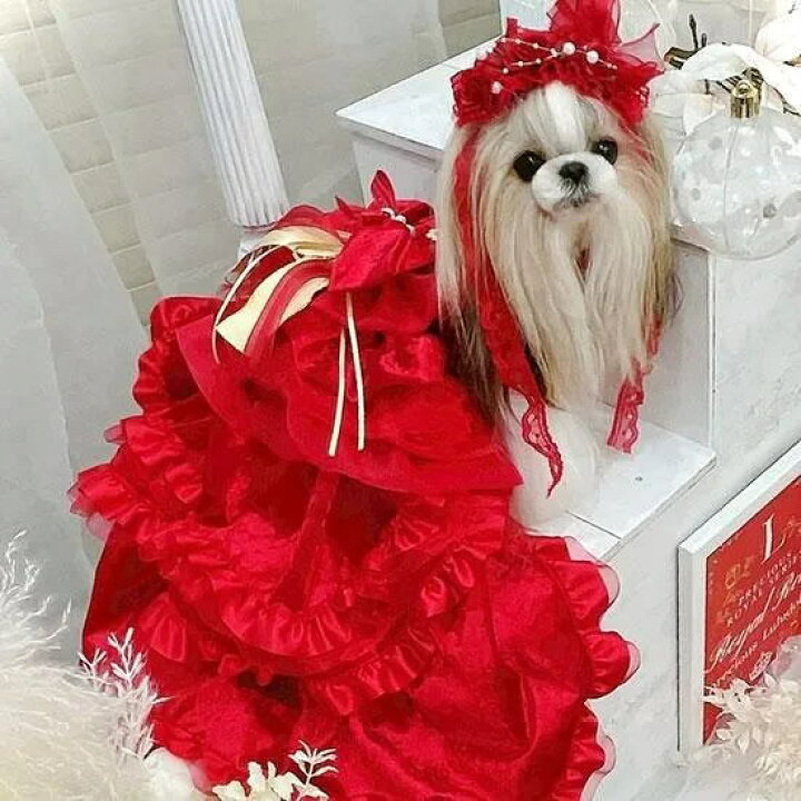 楽天市場】犬 ドレス 赤 LULUDOLL ルルドール Precious ロイヤルレッド 