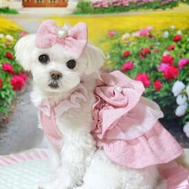【ルルドール】リボンキャミワンピ 3S-Mサイズ ドッグウェア 犬服 犬 服 女の子 小型犬 inu ワンピース