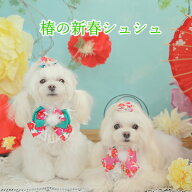 お正月 リボン 犬 猫 シュシュ 2026 椿新春シュシュアクセ きゃんナナ キャンナナ CANNANA パーティ　 数…